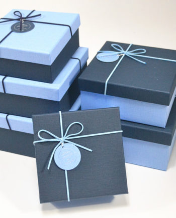Коробка белого лоснистого Инсоле подарочных коробок закрытия ленты складывая упаковывая для женщин