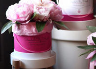 Букета цветка коробки цветка Папербоард дружелюбное круглого розового горячее штемпелюя причудливое эко- поставщик